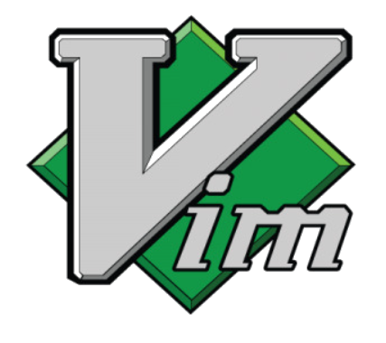 VIM Snippets Customization